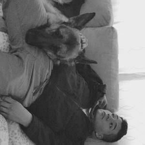 Meet your Posher, Andy